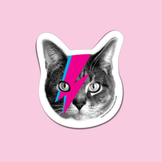 Hot Pink Lightning Bolt Bowie Cat Magnet